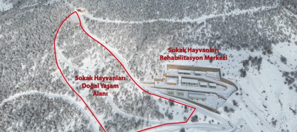 Belediyeden Sert Yanıt: “Barınak Üzerinden Algı Operasyonu Yapılıyor”