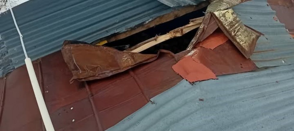 Gümüşhane yaylalarında ayı dehşeti devam ediyor