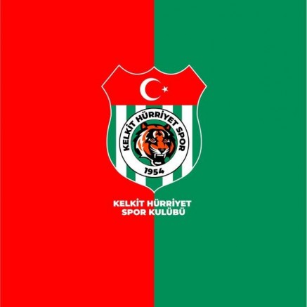 Kelkit Hürriyetspor Profesyonel Lige Veda Etti