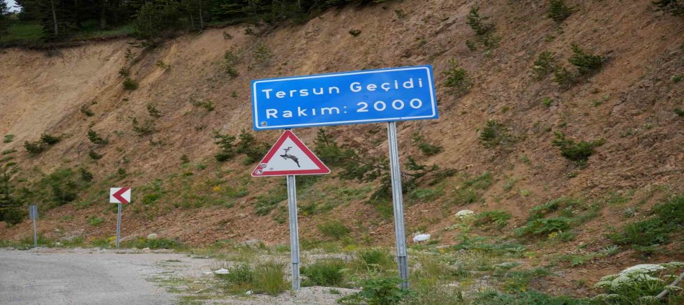 Gümüşhane’nin Lojistik Avantajını Artıracak Proje: Tersun Dağı Tüneli