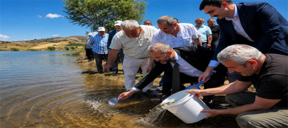 Akbaba Göleti’ne 10 Bin Kırmızı Benekli Alabalık Yavrusu Bırakıldı