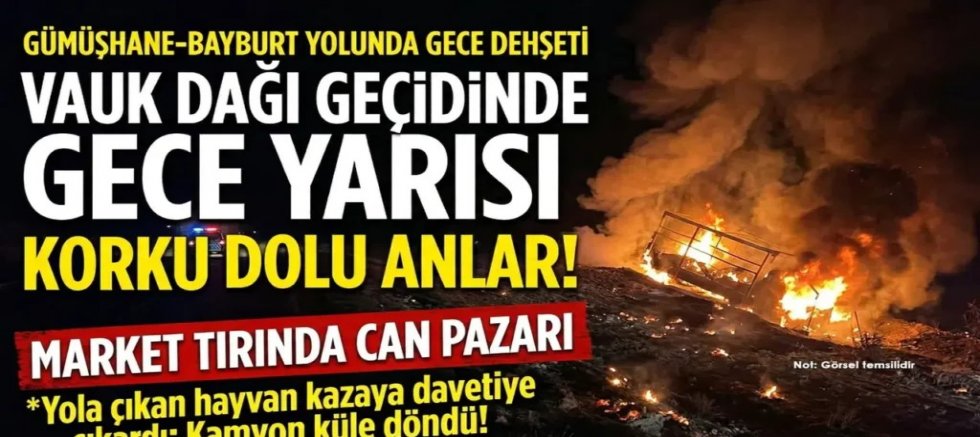 Gümüşhane’de yola çıkan yabani hayvan kazaya yol açtı: Kamyon küle döndü