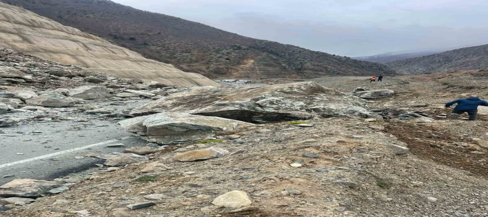 Prof. Dr. Selçuk Alemdağ: 