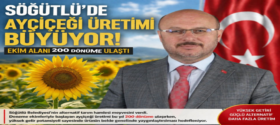 Söğütlü’de Ayçiçeği Üretimi Büyüyor, Ekim Alanı 200 Dönüme Ulaştı
