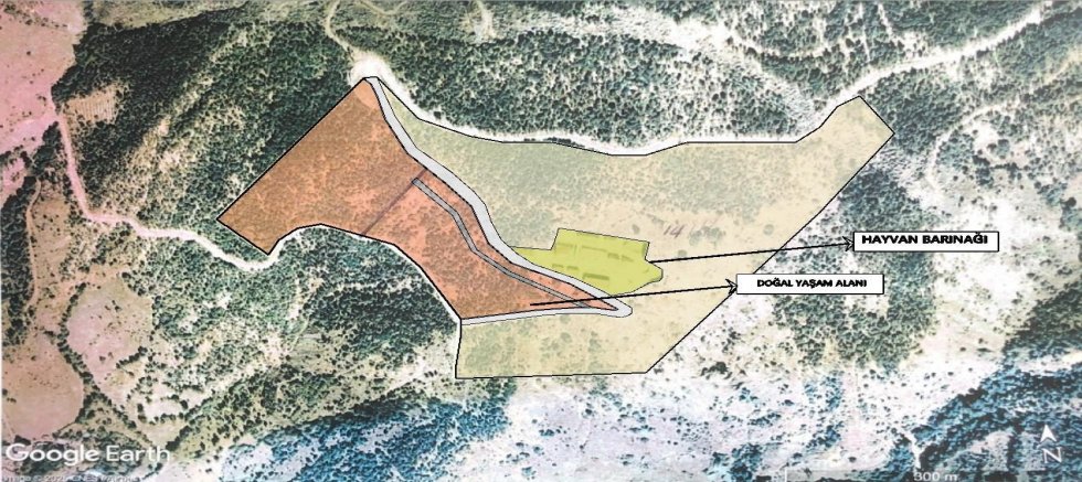 Sokak hayvanları için örnek proje hayata geçiyor