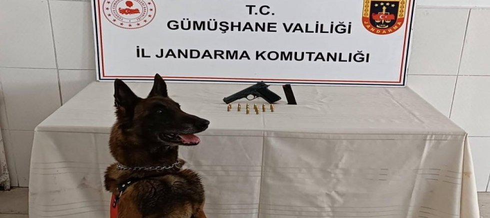 Torul’da yol kontrolünde ruhsatsız tabanca yakalandı