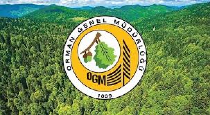 Orman Genel Müdürlüğü 4500 İşçi Alacak!