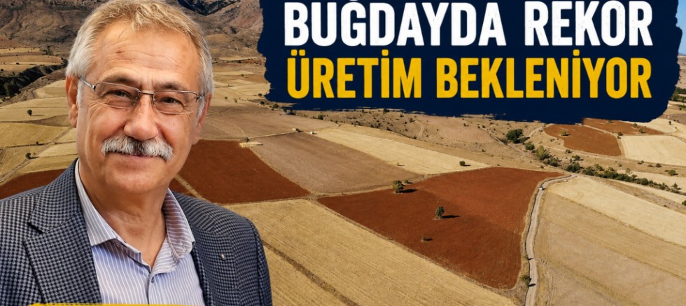 Prof. Dr. Zafer Ulutaş: “Buğdayda Rekor Üretim Var, Ancak Çiftçi Hâlâ Endişeli”