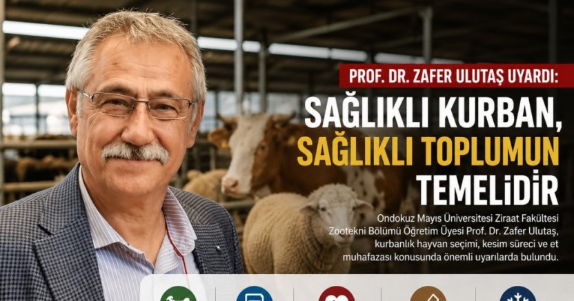 Prof. Dr. Zafer Ulutaş’tan Kurbanlık Seçimi Uyarısı: “Sağlıklı Kurban, Sağlıklı Toplumun Temelidir”