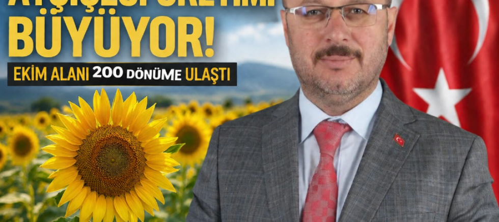Söğütlü’de Ayçiçeği Üretimi Büyüyor, Ekim Alanı 200 Dönüme Ulaştı