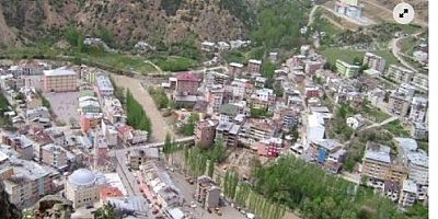 2023 Torul Oy Dağılımı