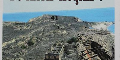 37-ESER NEREDEBU KAYIP KUŞAK