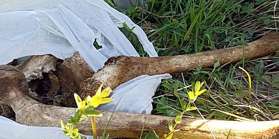 7 yıl Sonra bulunan Kafatası ve Kemikler Cinayet Şüphesini arttırdı