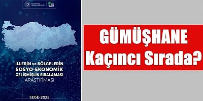 81 İlin Kalkınmışlık Sırası Açıklandı