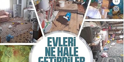 Aç Ayılar Yayla Evlerine Büyük Zarar Verdi