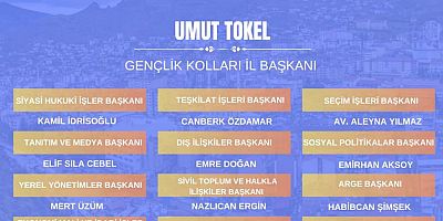 AK Gençlik’te yeni yürütme kurulu açıklandı