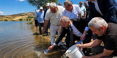 Akbaba Göleti’ne 10 Bin Kırmızı Benekli Alabalık Yavrusu Bırakıldı