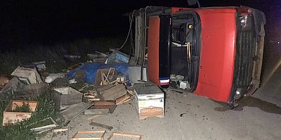 Arı yüklü pikap yan yattı, 60 arı telef oldu