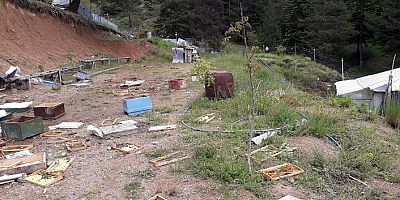 Ayılar toprağı kazıp girdiği alandaki kovanları parçaladı