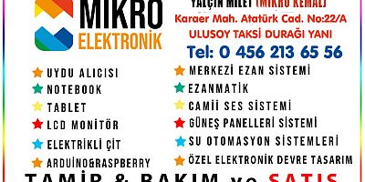 Balsever ayıları MİKROÇİT durduracak