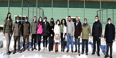 Barınaktaki Hayvanlar İçin Seferber Oldular