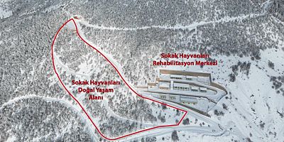 Belediyeden Sert Yanıt: “Barınak Üzerinden Algı Operasyonu Yapılıyor”