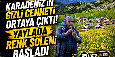 Bin 950 Metrede Görsel Şölen:Altınpınar Köyü Yaylası 