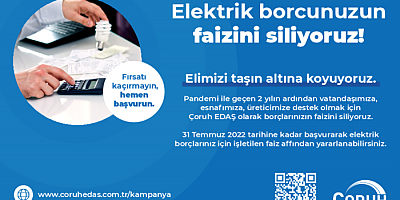 Birikmiş Elektrik Borçlarına Faiz Affı Geliyor