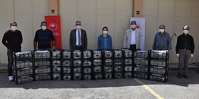 Bölgenin en büyük çilek bahçesi Gümüşhane’de kuruldu