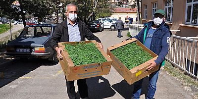 Çiftçilere 283 Bin Adet Sebze Fidesi Dağıtıldı