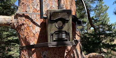 DAĞ TAŞ FOTOKAPAN!