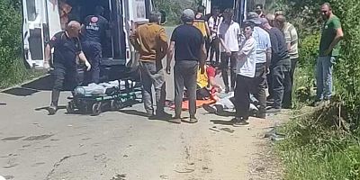 Dayısı Köyü Mevkiinde Trafik Kazası