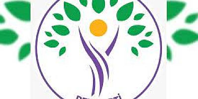 DEM Parti Gümüşhane