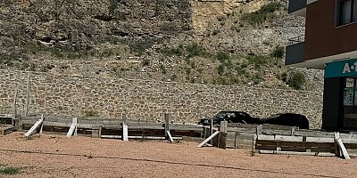 Demir: Bu Manzara Gözden Kaçıyor mu?