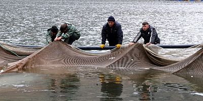 Denizi Olmayan Şehirden Binlerce Ton Balık İhraç Ediliyor