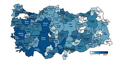 En az işe yerleştirme Gümüşhane'de
