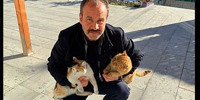 Engelli kediler için destek çağrısı
