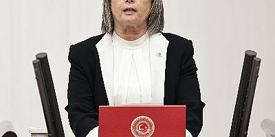 Erzincan-Gümüşhane-Trabzon demiryolu da bölgenin olmazsa olmazıdır