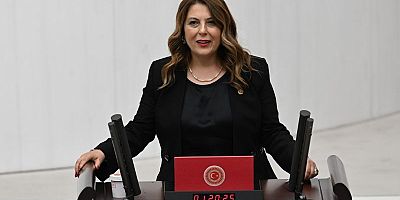 Giresun Milletvekili Elvan Işık Gezmiş Torul Tirebolu Yolunu TBMM  Taşıdı 