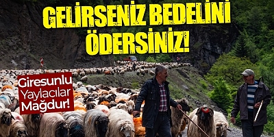 Giresunlu Yaylacılar, Gümüşhane’deki Mera Kararına Sert tepki