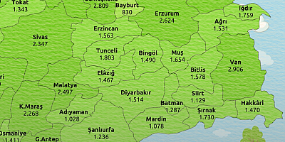 Gümüşhane, 2.809 Türlük Biyolojik Çeşitliliğiyle Türkiye’nin Doğa Hazinelerinden Biri