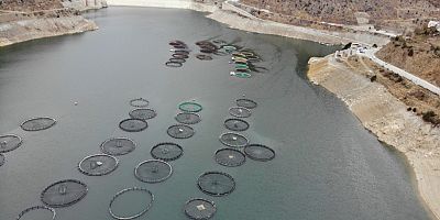 Gümüşhane Alabalıkta İhracat Üssü Olma Yolunda