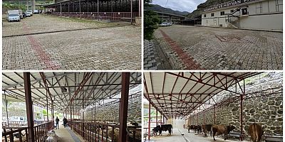 Gümüşhane Belediyesi, Kurban Bayramı Hazırlıklarını Tamamladı