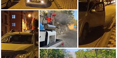 Gümüşhane Belediyesi Şehir Genelinde Haşereyle Mücadele Çalışmalarını Sürdürüyor