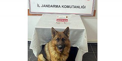 Gümüşhane’de 18 sentetik ecza ele geçirildi