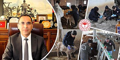 Gümüşhane’de 239 Bin 677 Hayvan Aşılandı