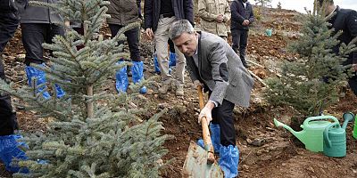 Gümüşhane’de 3 bin fidan toprakla buluştu
