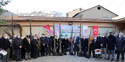 Gümüşhane'de 5 bin 322 Adet Ceviz Fidanı Dağıtıldı
