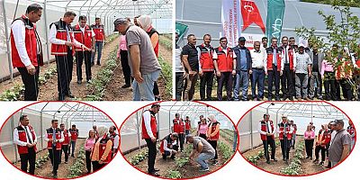 Gümüşhane’de 5 Milyonluk Sera Projesiyle 16 Üreticiye Destek!