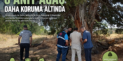 Gümüşhane’de 6 Anıt Ağaç Daha Koruma Altına Alınıyor